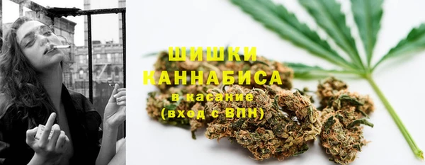 гидра Уссурийск